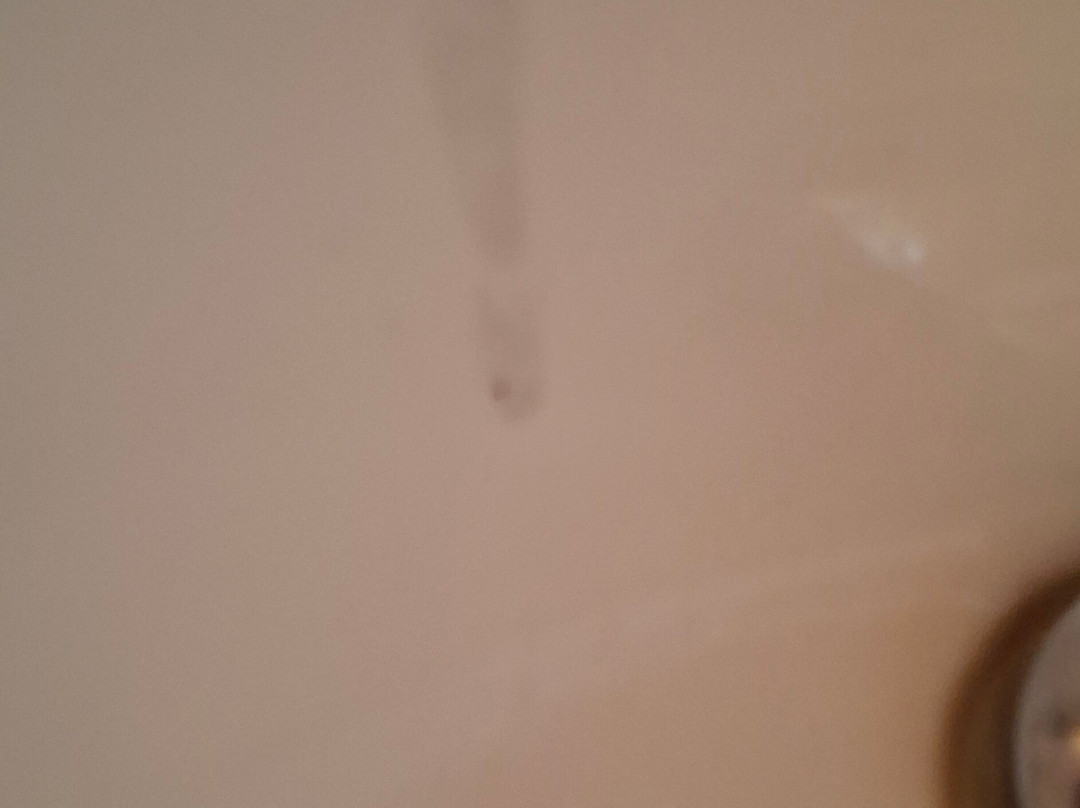 Olive Tree Farm主图