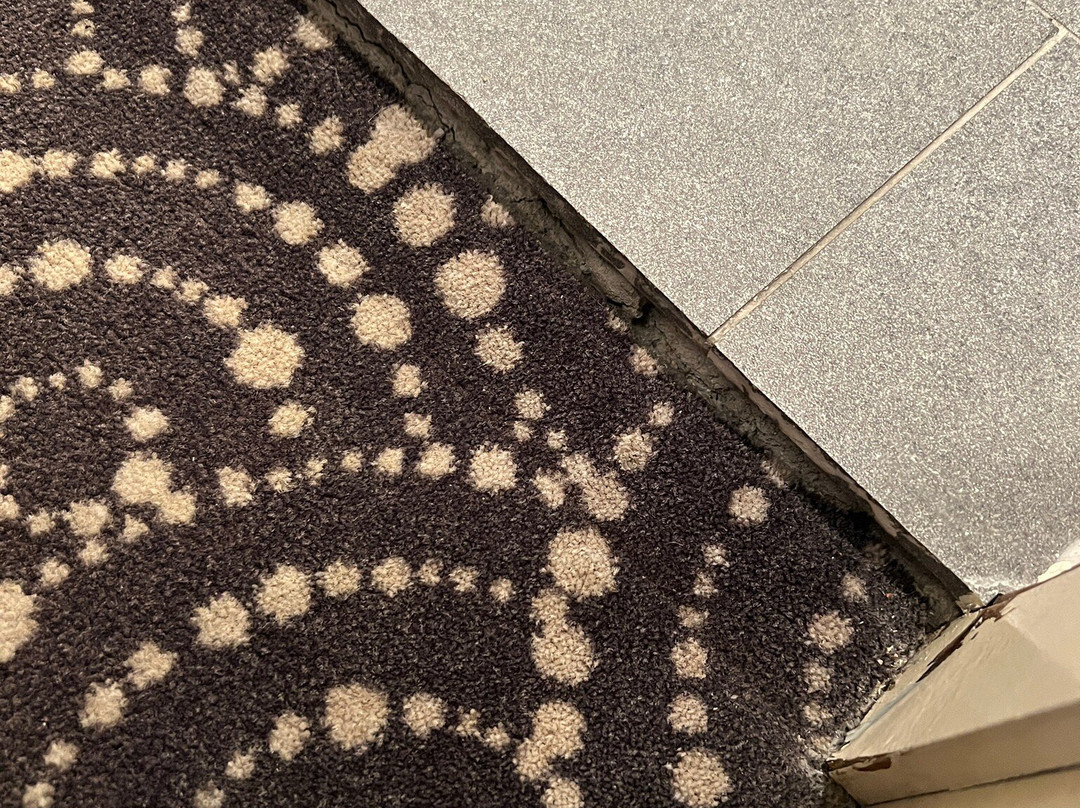 Hotel am Schelztor主图