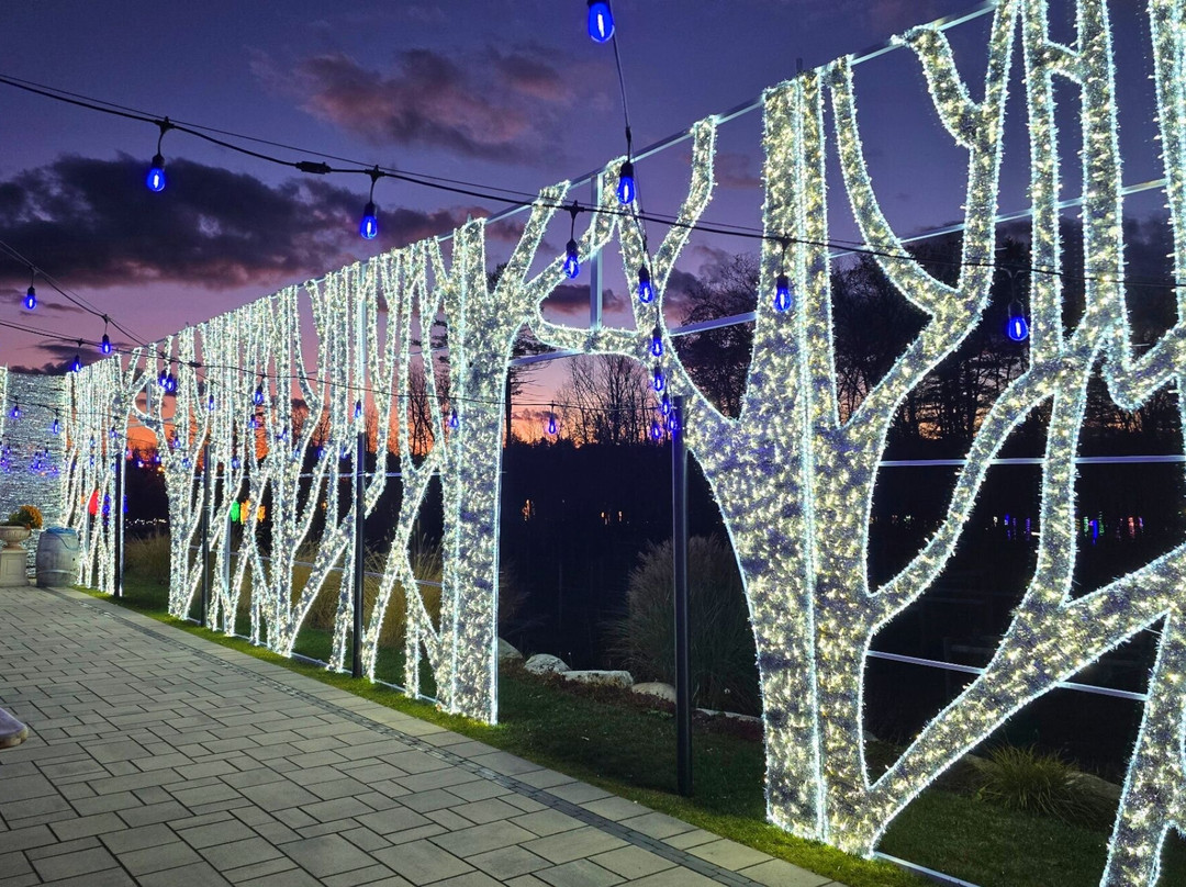 LaBelle Lights At Labelle Winery-Derry必去景点