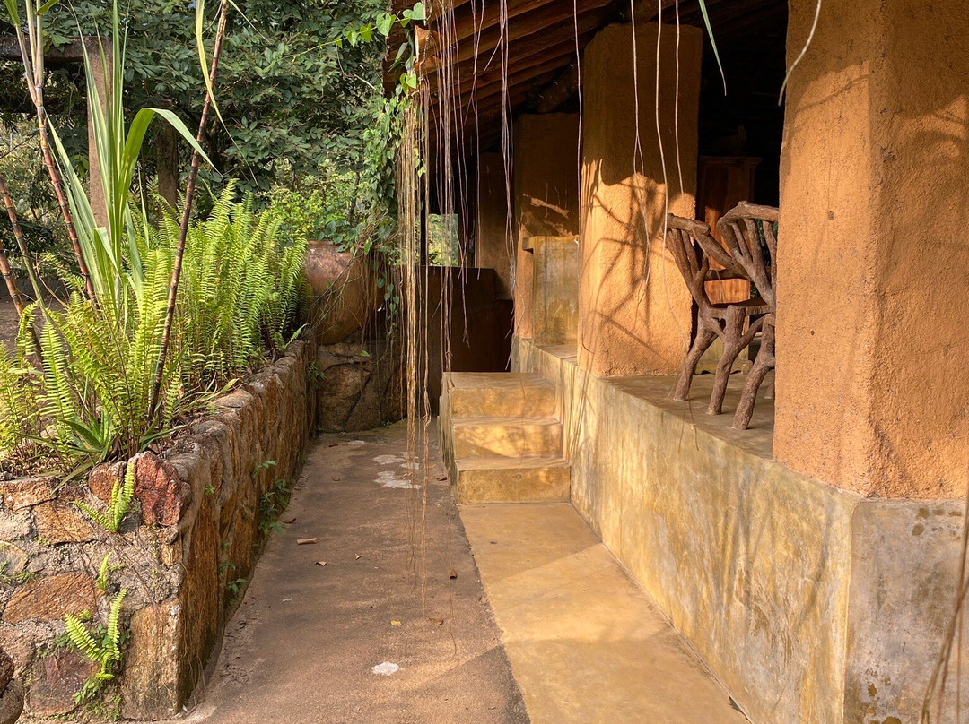 Rainforest Edge主图