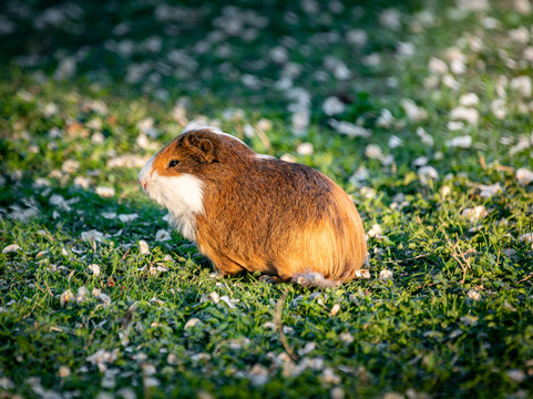 Parco Giardino Tenuta S. Apollonio
