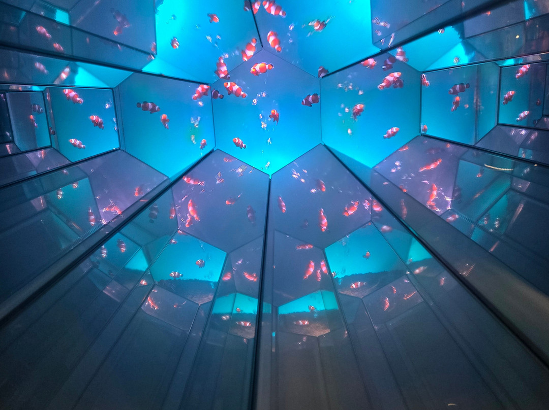 Uws Aquarium Ga Kyo-Daiba必去景点