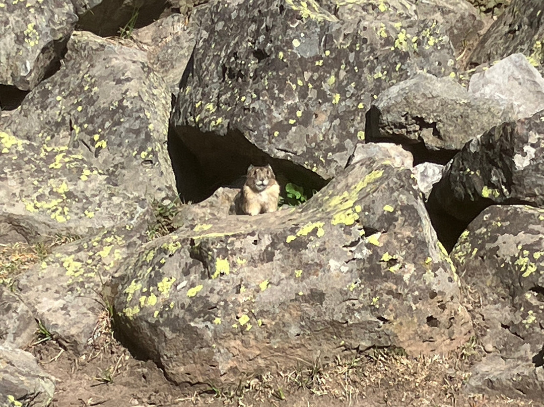 Yellowstone Wild-加德纳必去景点