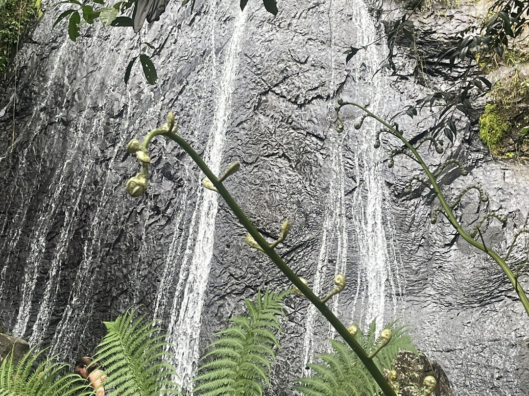 Concierge Conexion PR-圣胡安必去景点