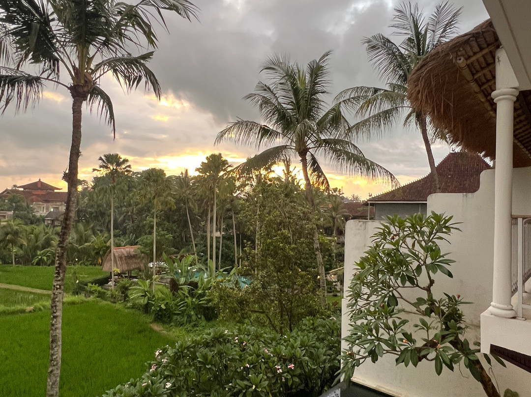 摩塔玛别墅主图