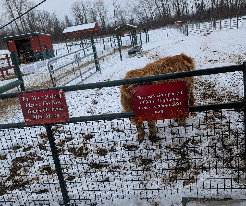 Rooftop Landing Reindeer Farm-Clare必去景点