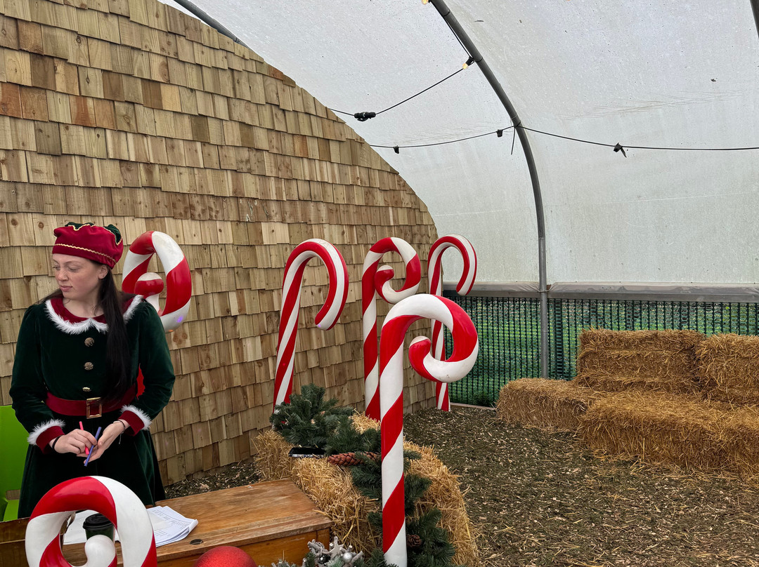 Mini Meadows Farm-Welford必去景点