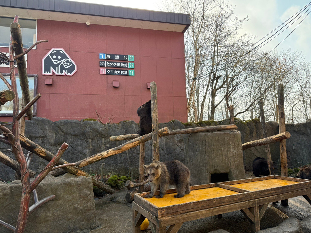 登别熊牧场-登别市必去景点