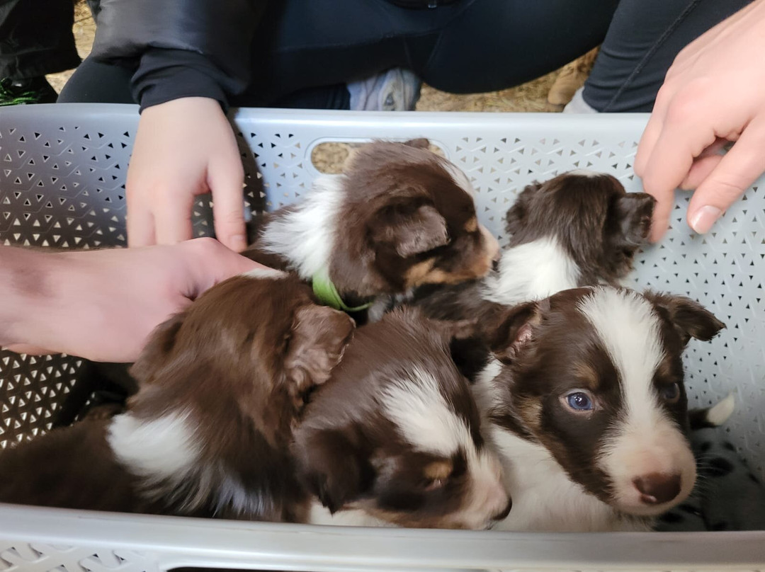 Cragg House Farm-Buttermere必去景点