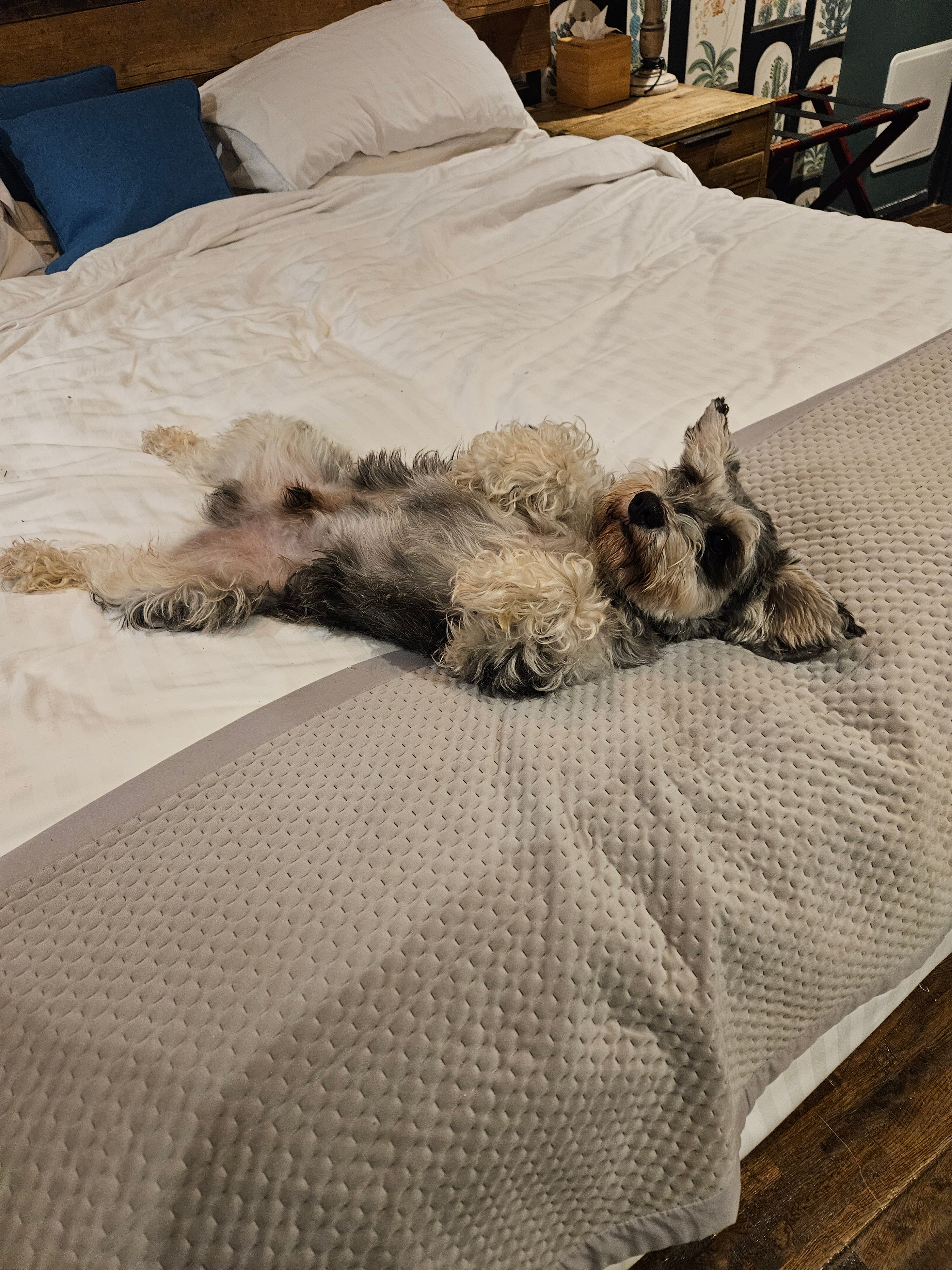 The Hind's Head-官方