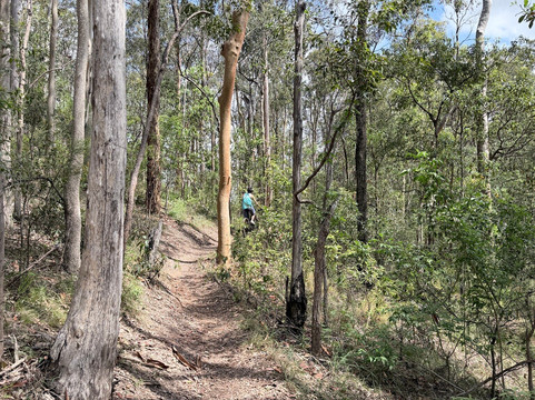Forbes MTB-Kenmore必去景点
