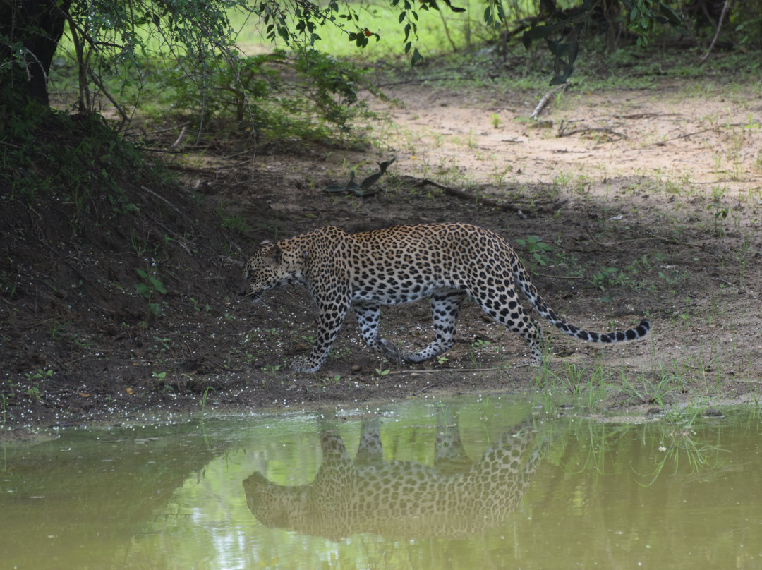 Gesha Tours Sri Lanka-Panadura必去景点