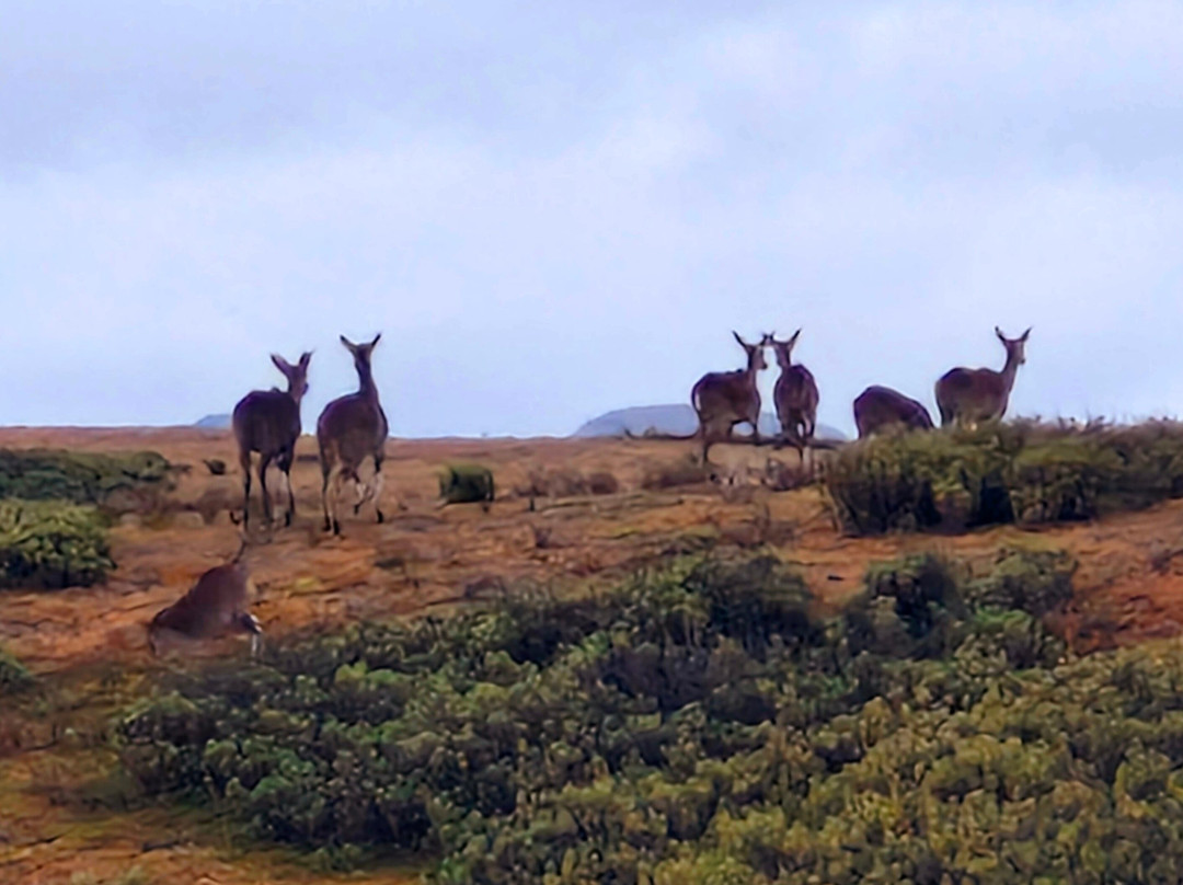 Addis Tour Guide-亚的斯亚贝巴必去景点
