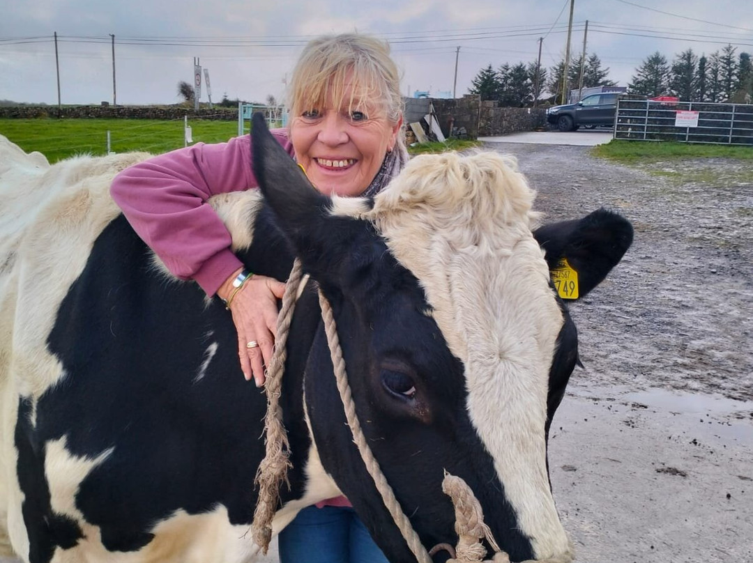 Campview Farm-Ballyshannon必去景点