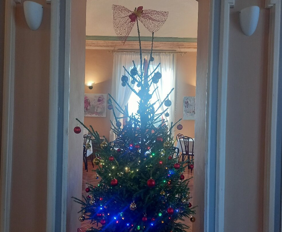 Hotel Villa Conte Riccardi主图