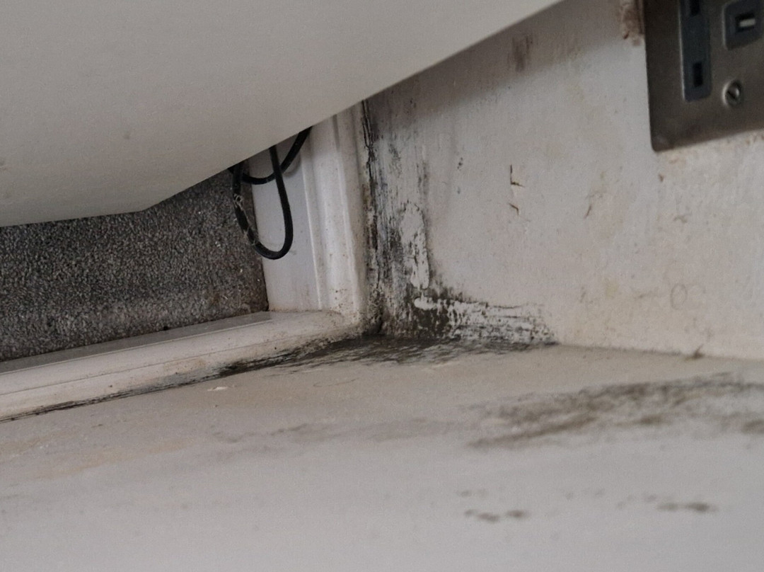 Capel Bethania-伊费林赫利必去景点