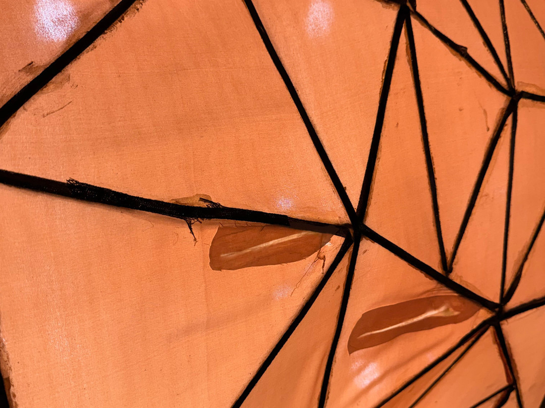 Winter Lantern Festival Washington DC-泰森角必去景点