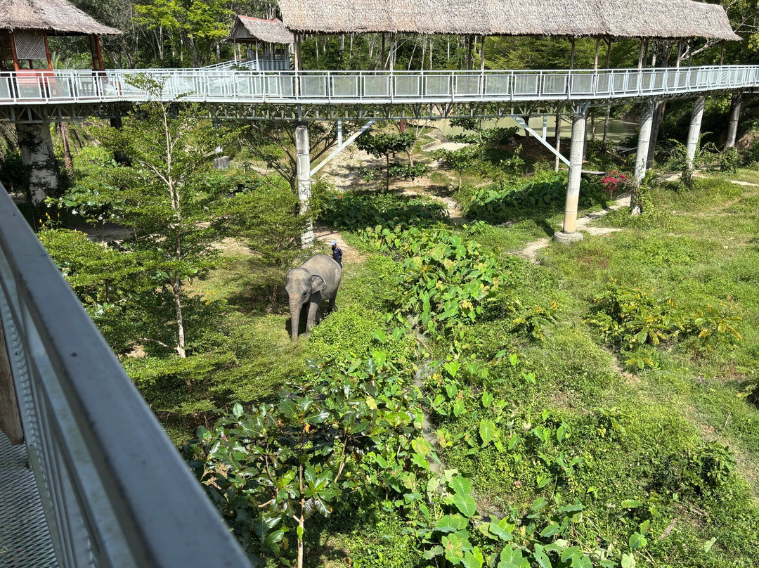 Phuket Elephant Sanctuary-班巴克洛必去景点