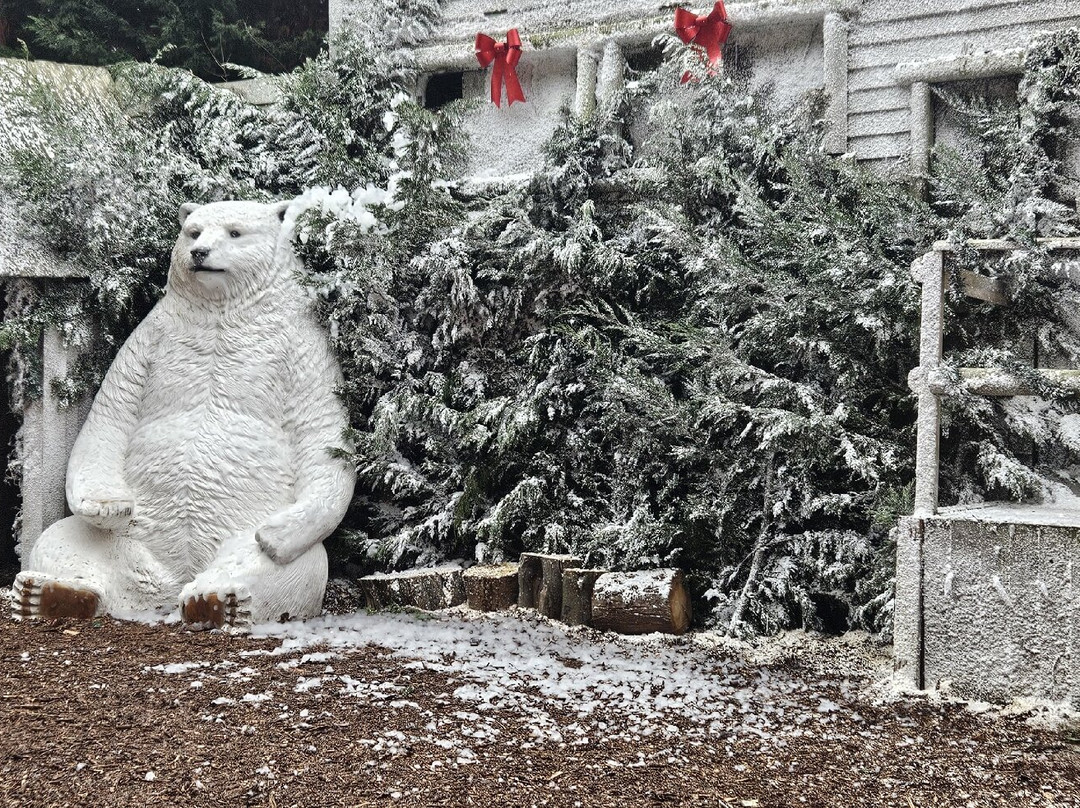 Greenacres Animal Park-Deeside必去景点