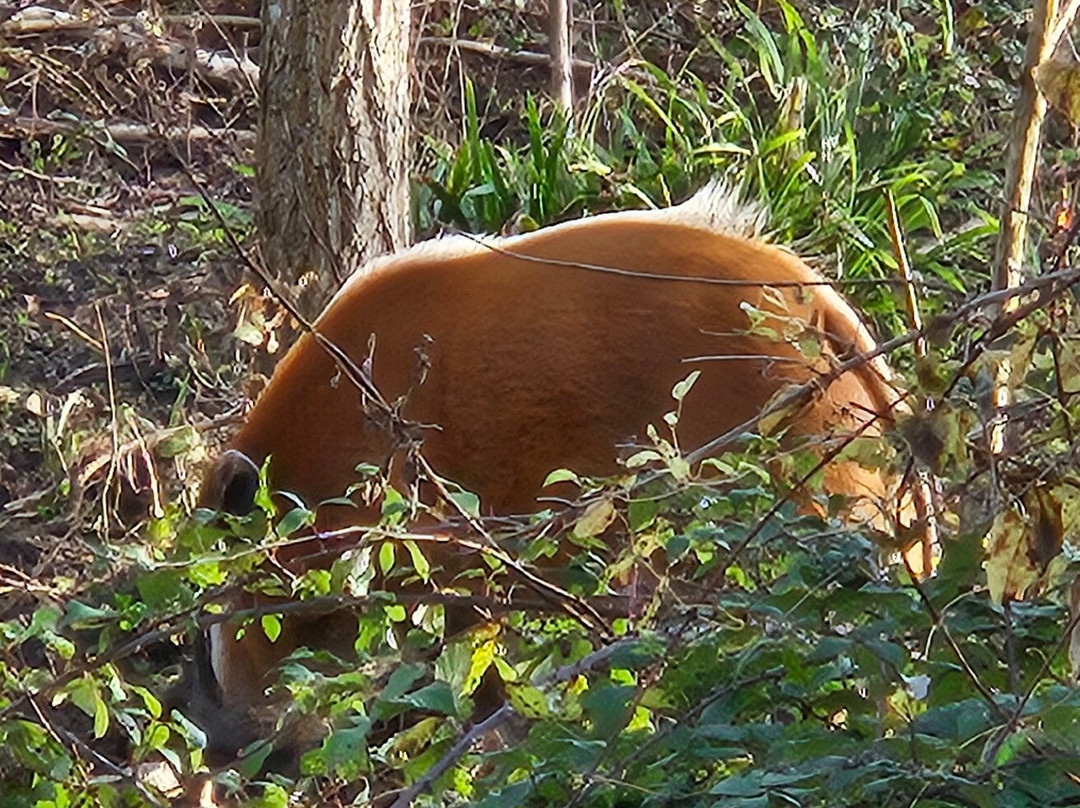 Bristol Zoo Project-Easter Compton必去景点
