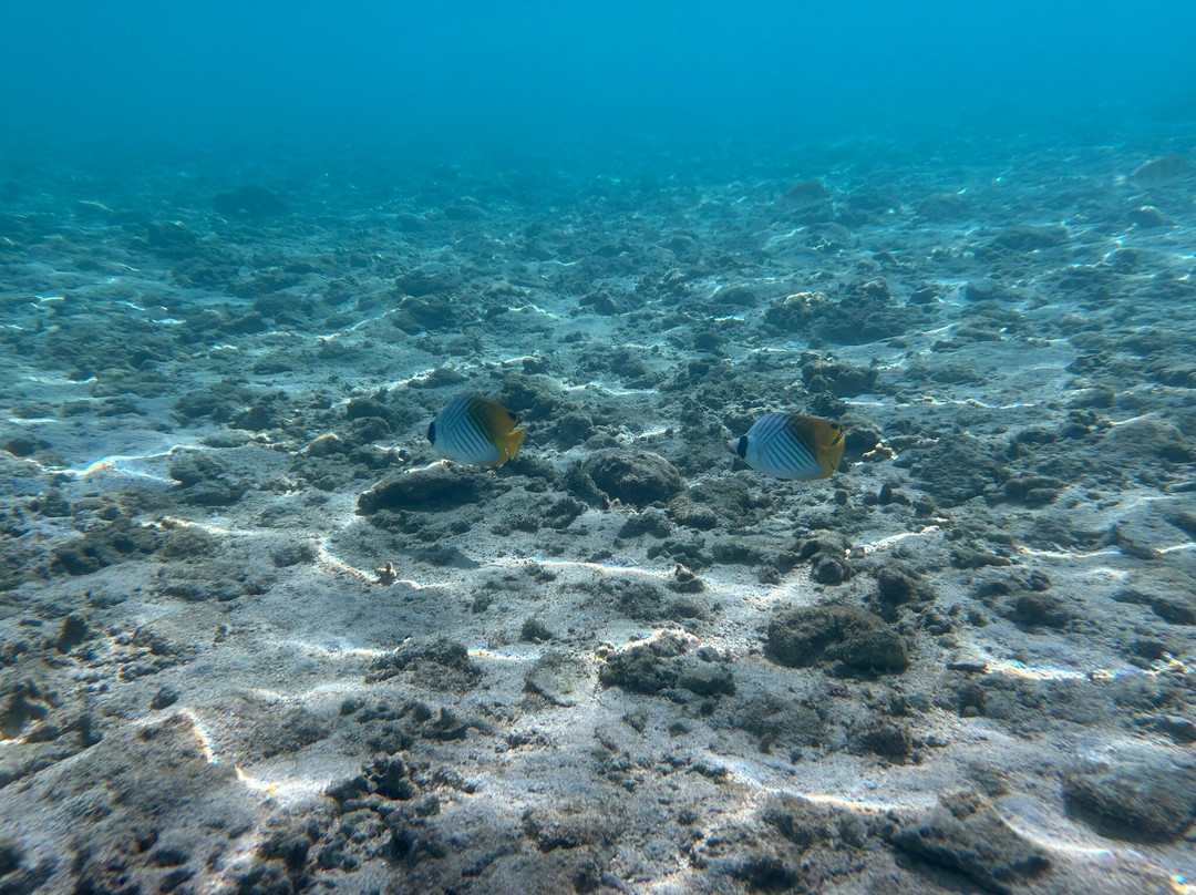 Plage de Trou d'Eau-拉萨里讷雷班必去景点