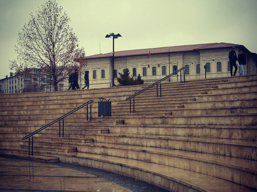 Kongre Museum-Sivas必去景点