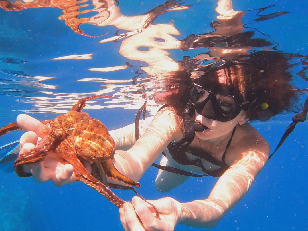 Hawai'i Surf and Kayak-普阿克必去景点