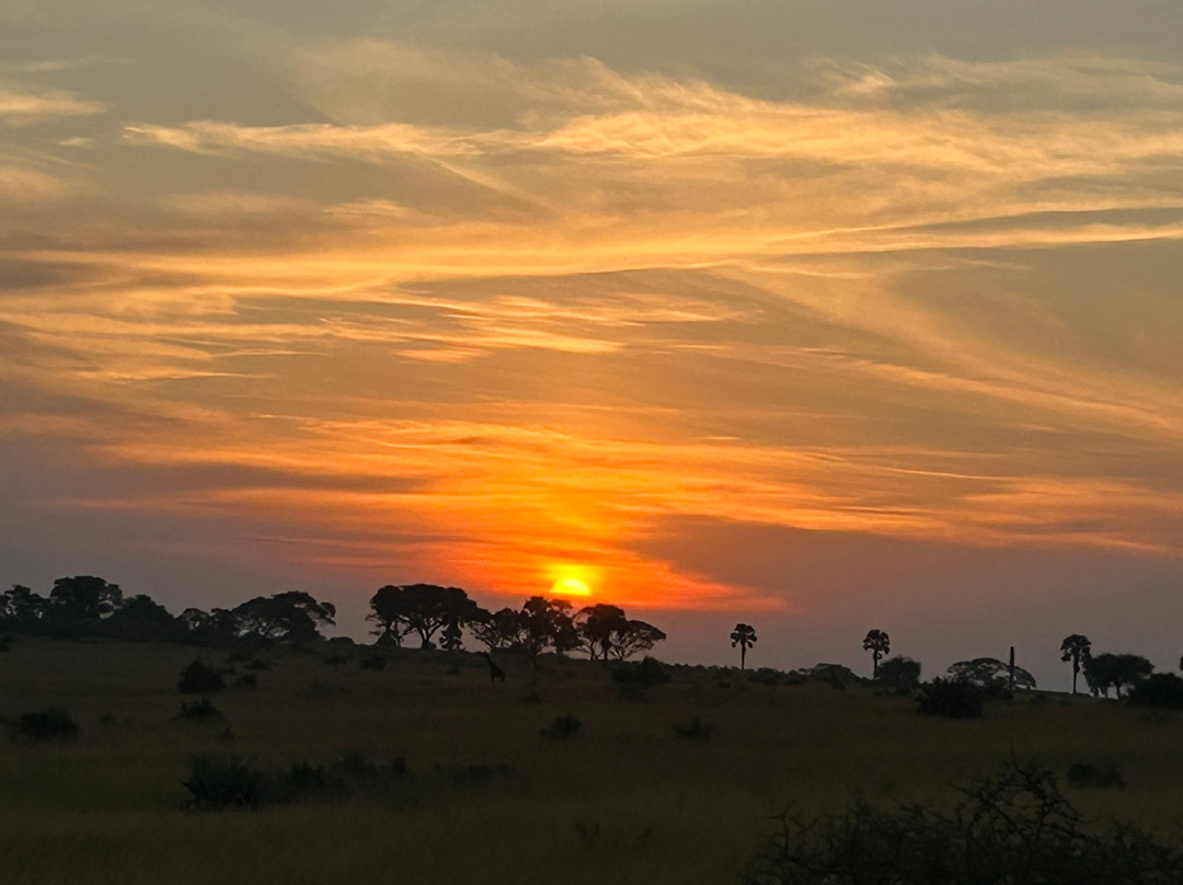Mamaland Safaris-坎帕拉必去景点