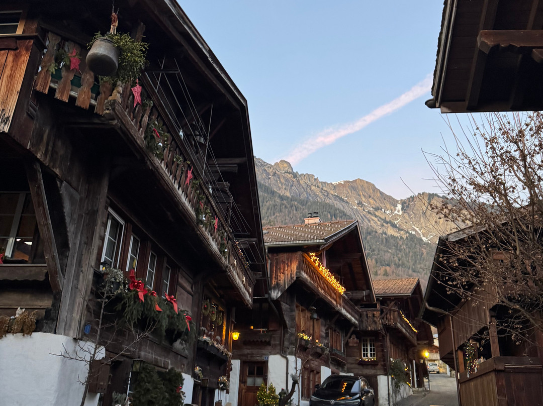 Typically Swiss Tours-卢塞恩必去景点