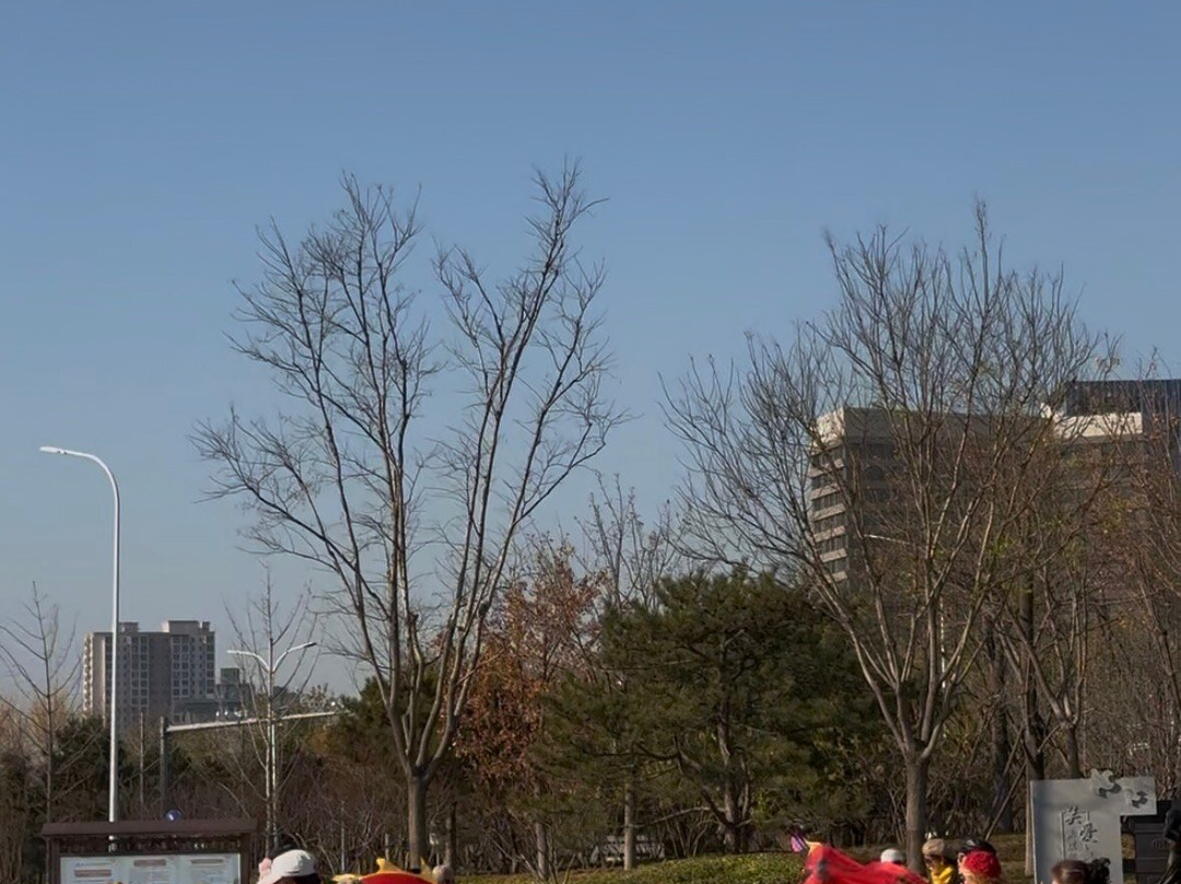 大运河森林公园-北京市必去景点