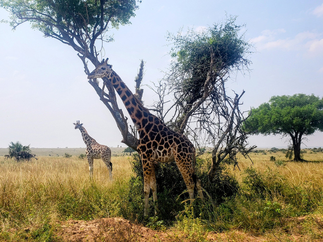 Kfir Adventures Ltd-马辛迪必去景点