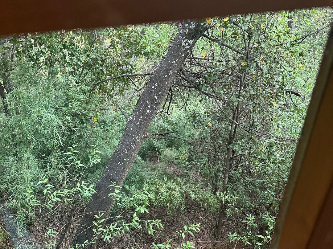 Hotel El Barranco主图