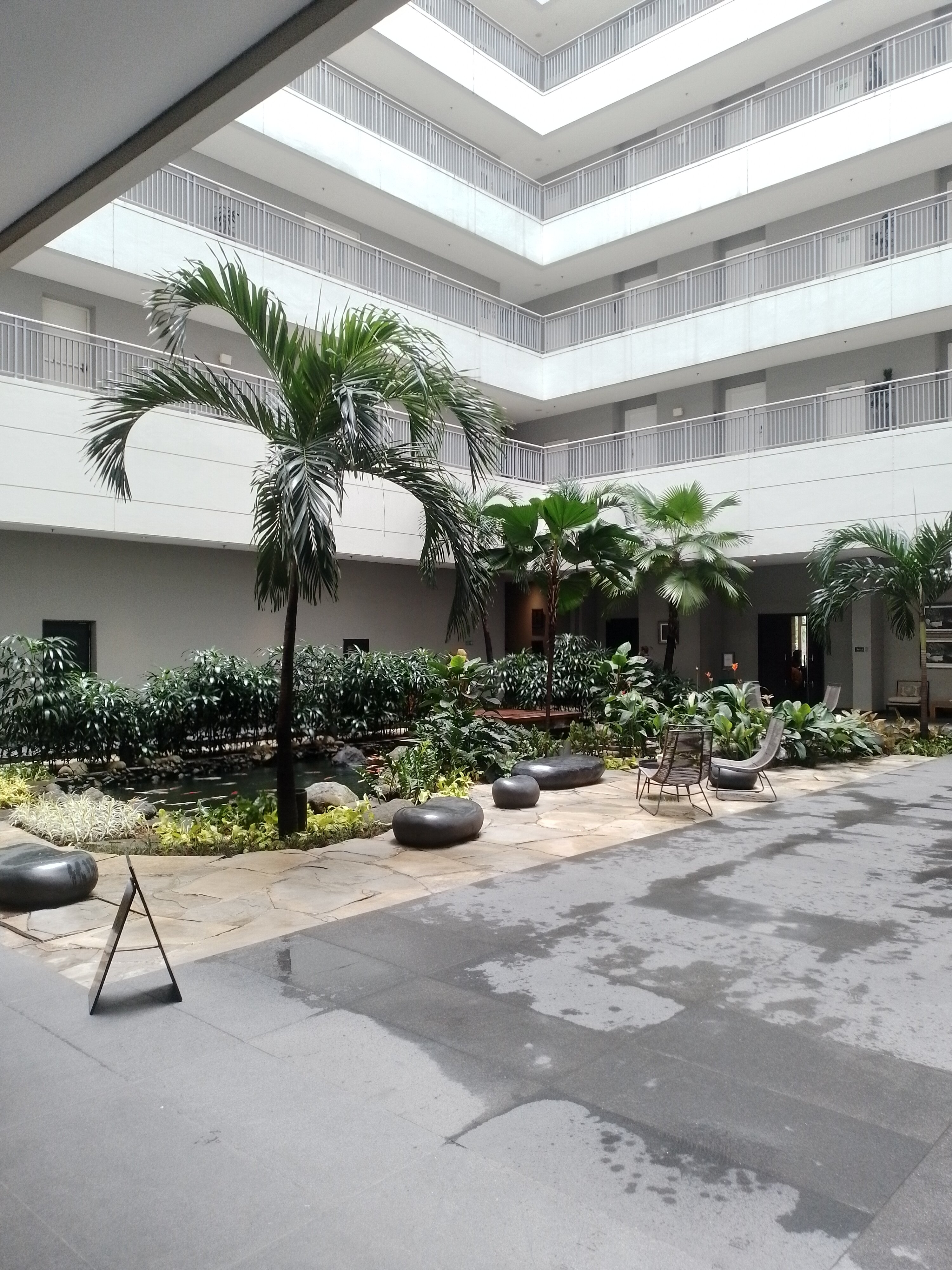 凤凰木酒店-官方