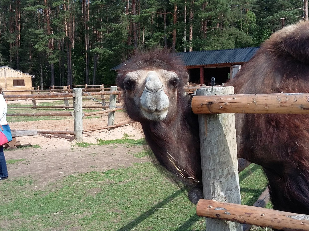 Recreation Complex Raksi-Amatas Novads必去景点