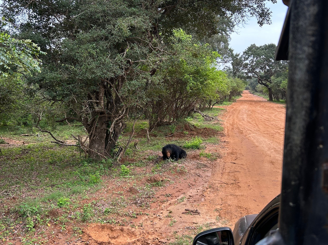 Eddy's Expeditions-加勒必去景点