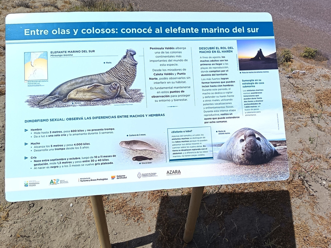 瓦尔德斯半岛-马德林港必去景点