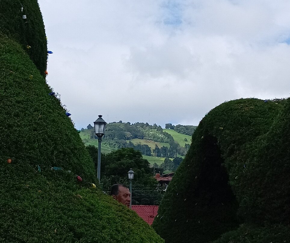 Costa Rica's Senor Scissorhands Topiary-Zarcero必去景点