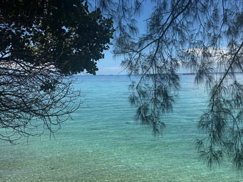 Raxy tours And Safaris-石头城必去景点