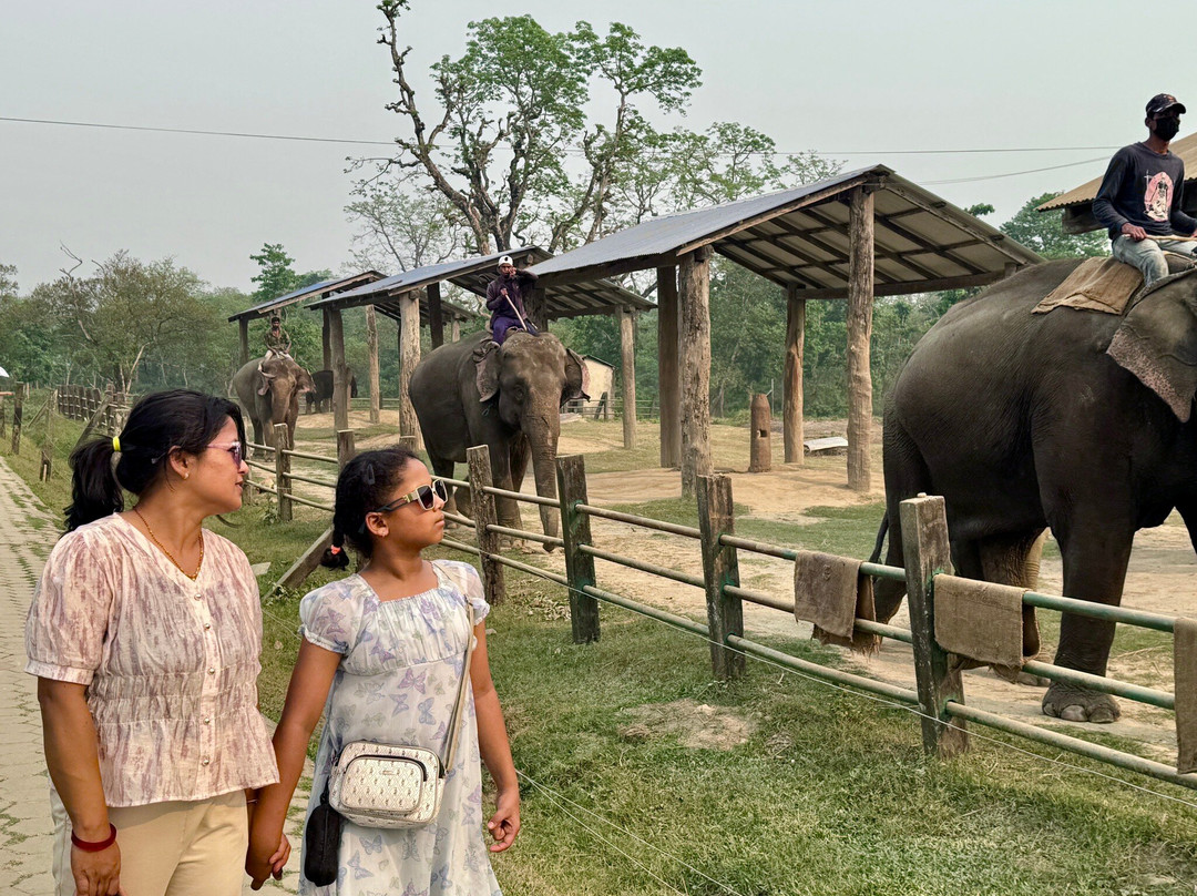 Elephant Breeding Centre-苏拉哈必去景点