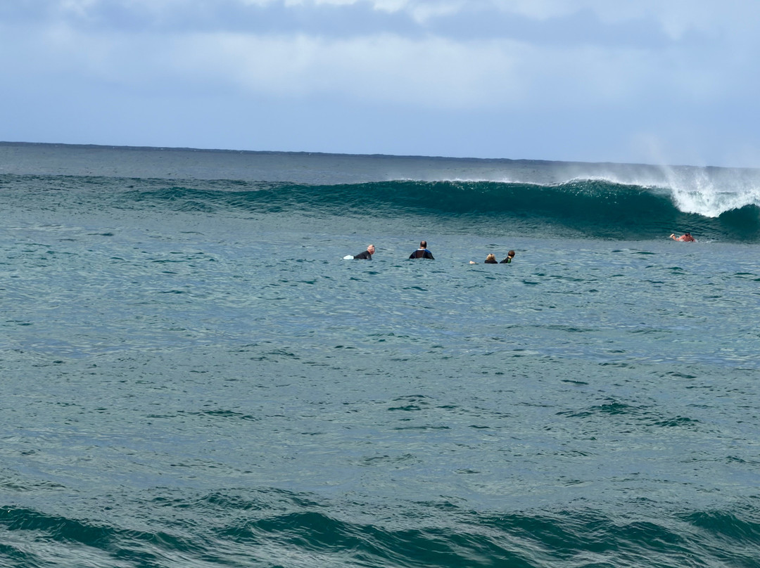 Go Nuts Hawaii-哈雷瓦必去景点
