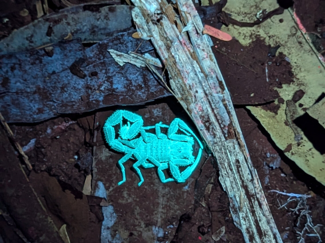 Terra Sur Travels-基多必去景点