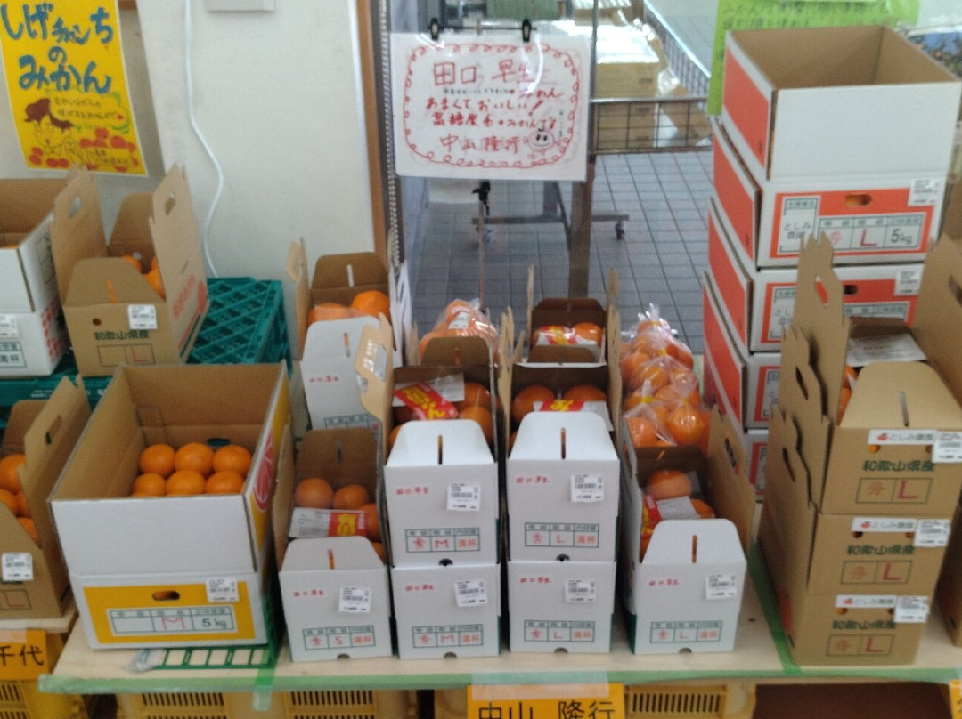 JA Arida Farmars Market Aridakko-有田市必去景点
