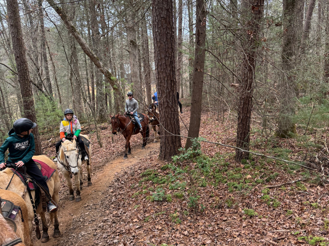 Appalachian Trail Rides-Mineral Bluff必去景点