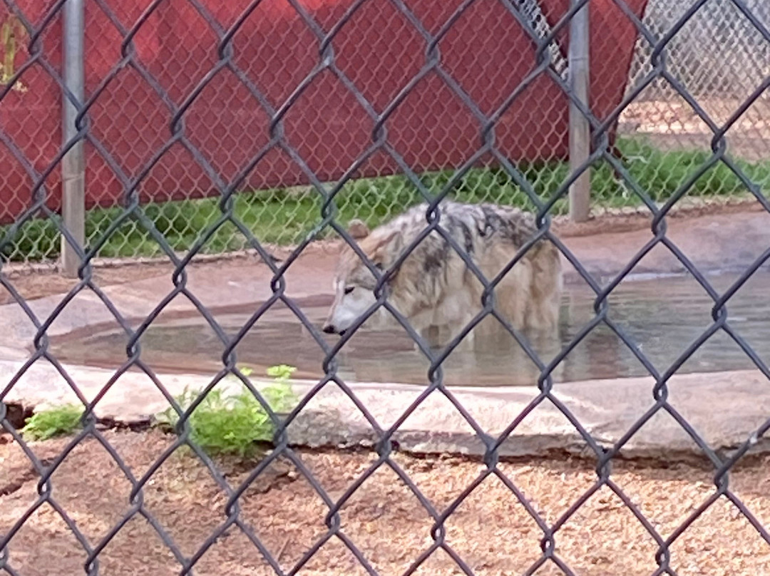 Southwest Wildlife Conservation Center-斯科茨代尔必去景点