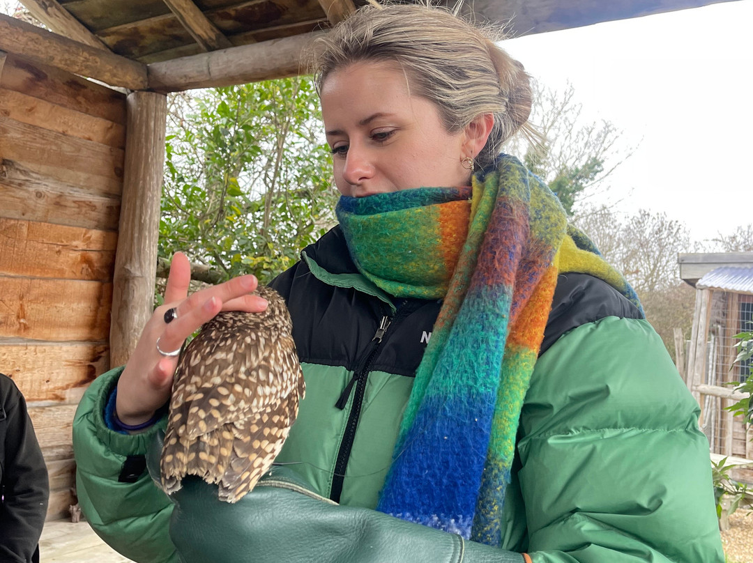 Coda Falconry-豪恩斯洛必去景点