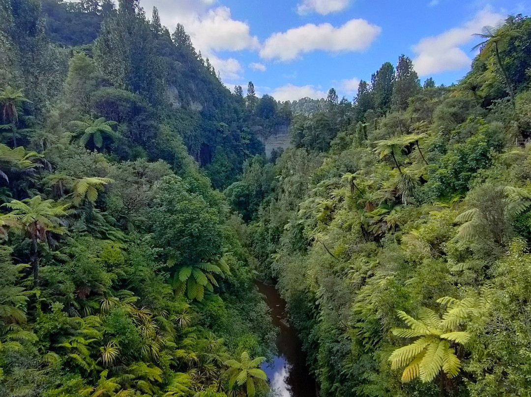 Canoe Safaris-奥阿库尼必去景点