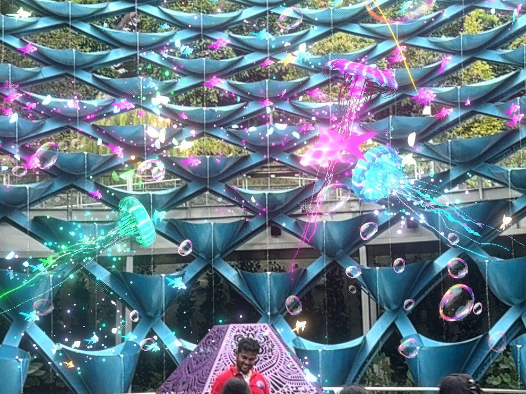 Sentosa SensoryScape-新加坡必去景点