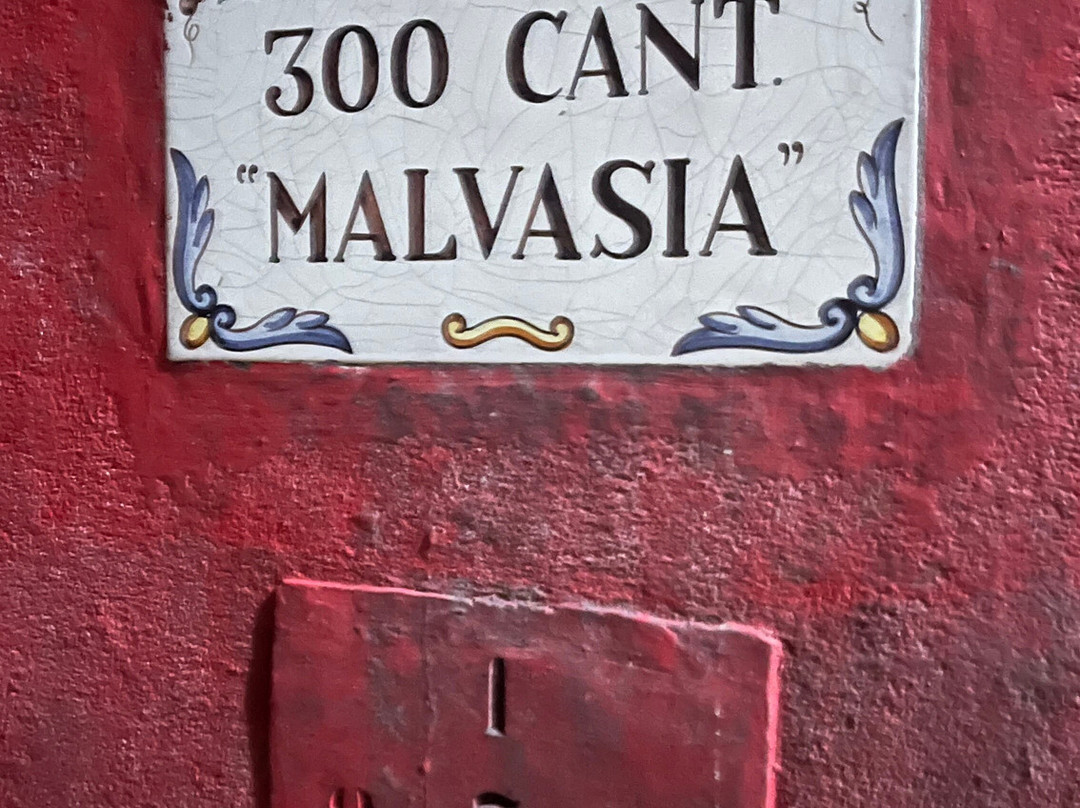 Bodegas Lecea-San Asensio必去景点