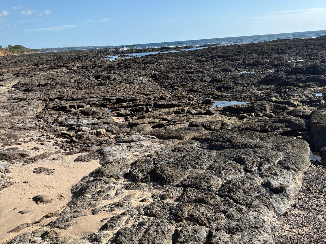 Guti Tours-Playa Avellanas必去景点