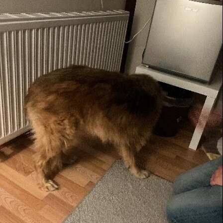 Sankt Peter Ording Strand-圣彼得奥尔丁必去景点